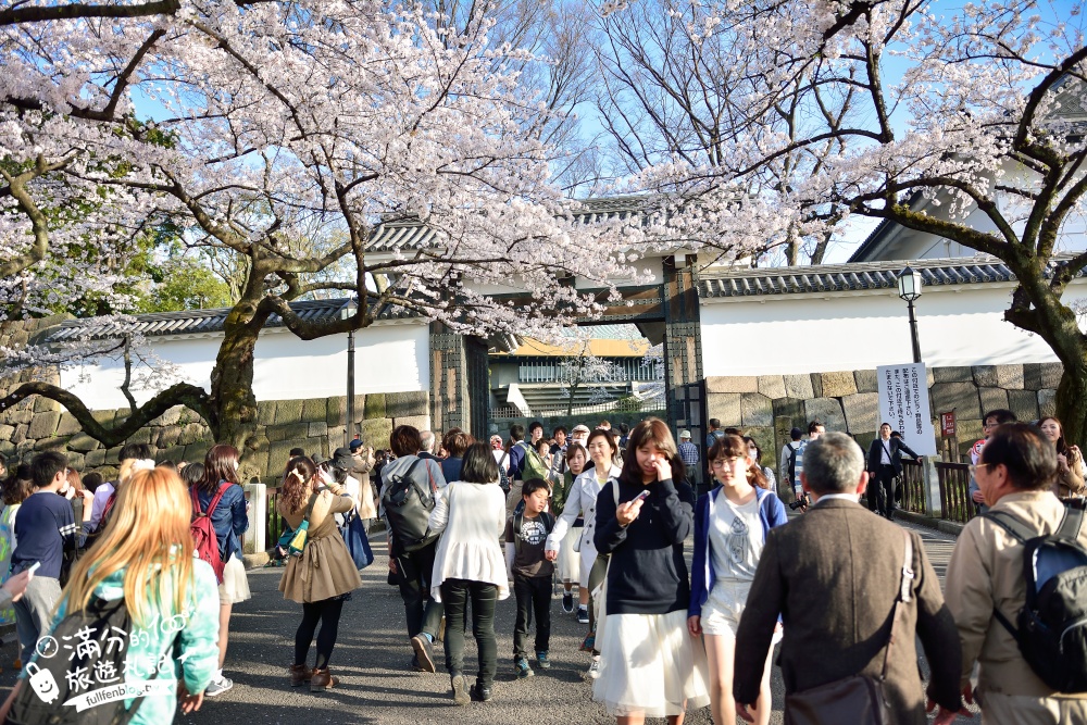 【東京櫻花推薦】千鳥之淵公園&北之丸公園櫻花季.被粉嫩櫻花包圍的夢幻湖畔!