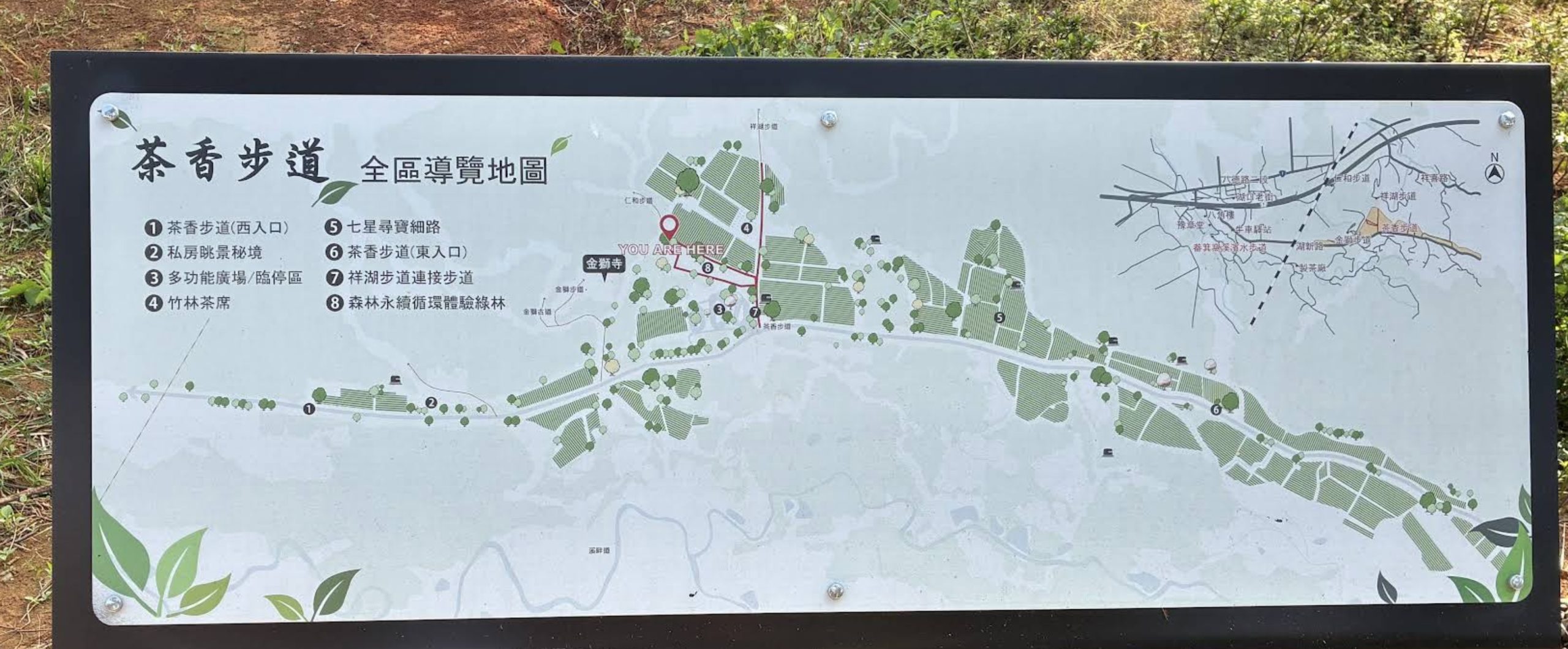 新竹桐花景點【湖口仁和桐花步道】近湖口老街,順遊祥湖步道&金獅步道.季節限定浪漫四月雪!