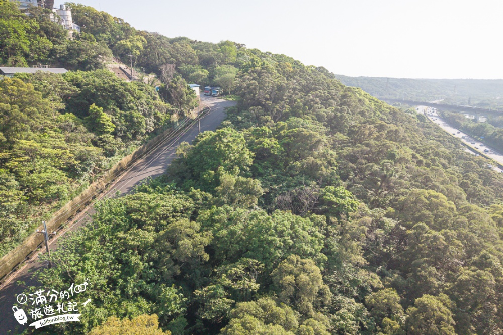 新竹桐花景點【湖口仁和桐花步道】近湖口老街,順遊祥湖步道&金獅步道.季節限定浪漫四月雪!