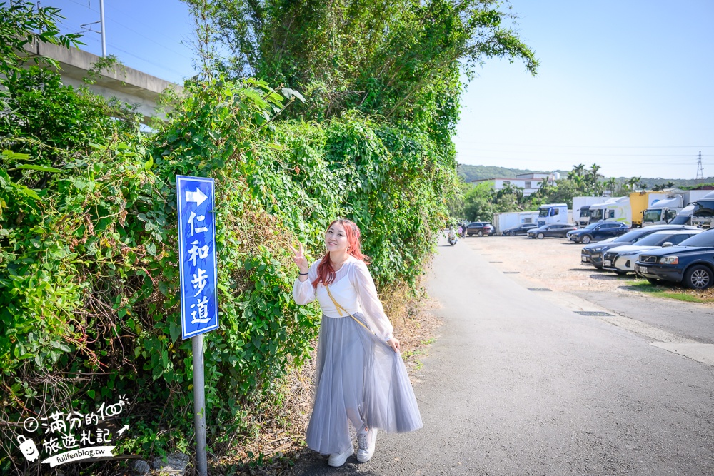 新竹桐花景點【湖口仁和桐花步道】近湖口老街,順遊祥湖步道&金獅步道.季節限定浪漫四月雪!