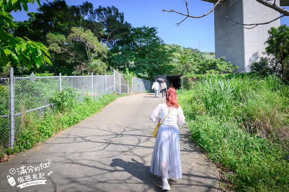 新竹桐花景點【湖口仁和桐花步道】近湖口老街,順遊祥湖步道&金獅步道.季節限定浪漫四月雪!