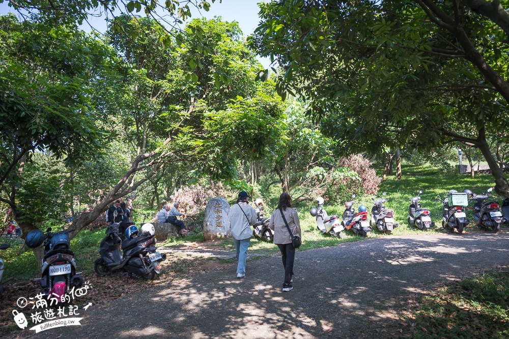 新竹桐花景點【湖口仁和桐花步道】近湖口老街,順遊祥湖步道&金獅步道.季節限定浪漫四月雪!