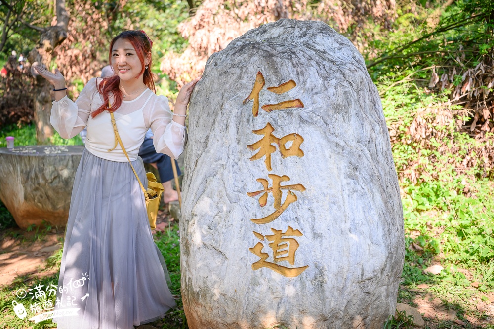 新竹桐花景點【湖口仁和桐花步道】近湖口老街,順遊祥湖步道&金獅步道.季節限定浪漫四月雪!