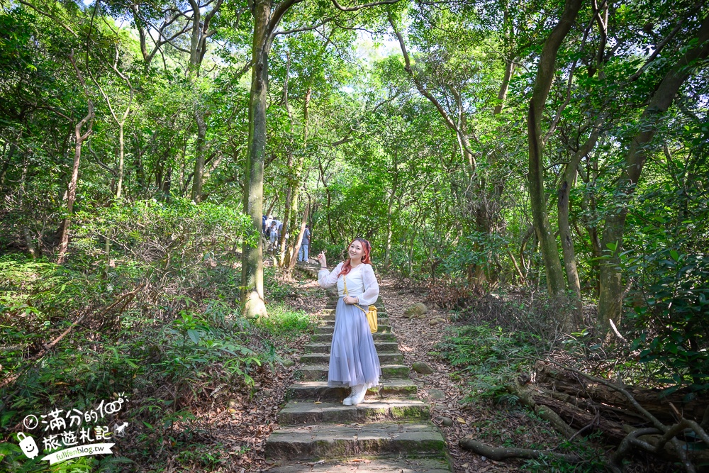 新竹桐花景點【湖口仁和桐花步道】近湖口老街,順遊祥湖步道&金獅步道.季節限定浪漫四月雪!
