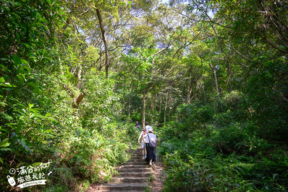 新竹桐花景點【湖口仁和桐花步道】近湖口老街,順遊祥湖步道&金獅步道.季節限定浪漫四月雪!