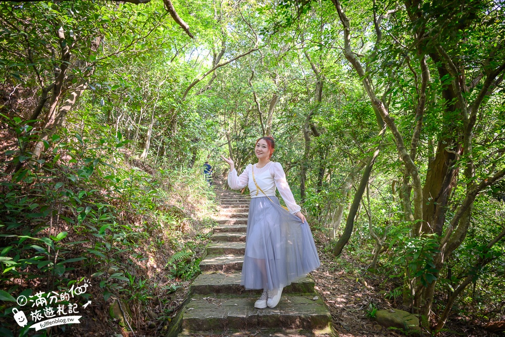 新竹桐花景點【湖口仁和桐花步道】近湖口老街,順遊祥湖步道&金獅步道.季節限定浪漫四月雪!