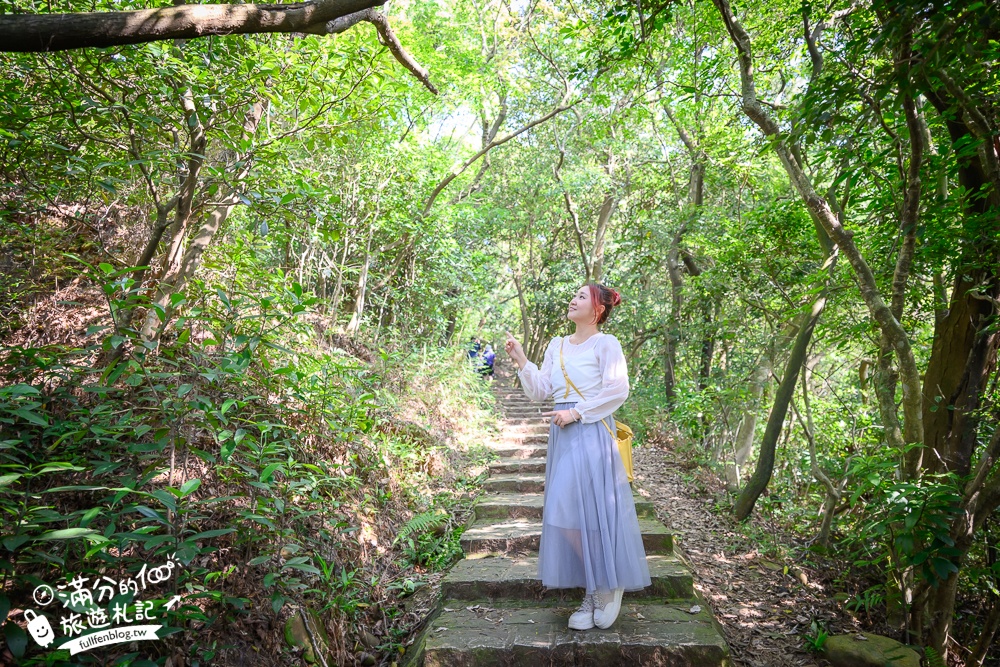 新竹桐花景點【湖口仁和桐花步道】近湖口老街,順遊祥湖步道&金獅步道.季節限定浪漫四月雪!