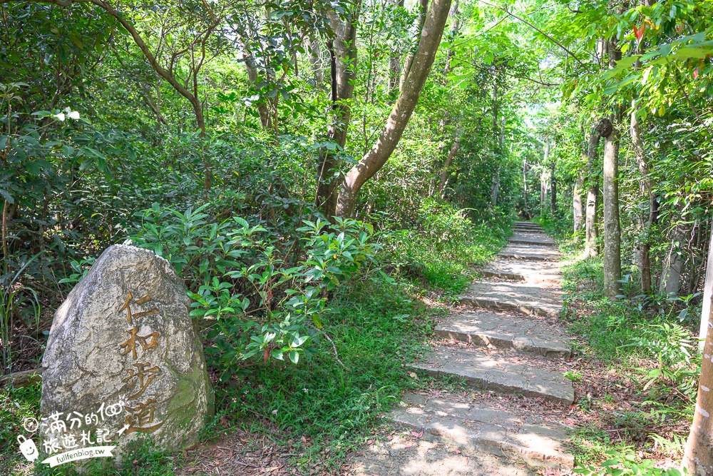 新竹桐花景點【湖口仁和桐花步道】近湖口老街,順遊祥湖步道&金獅步道.季節限定浪漫四月雪!