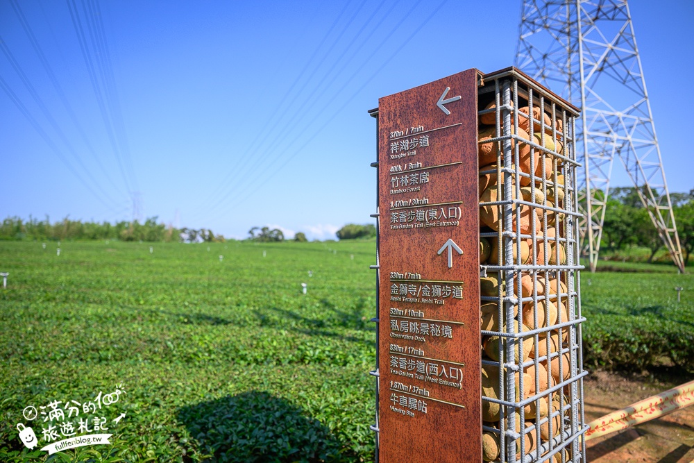 新竹桐花景點【湖口仁和桐花步道】近湖口老街,順遊祥湖步道&金獅步道.季節限定浪漫四月雪!