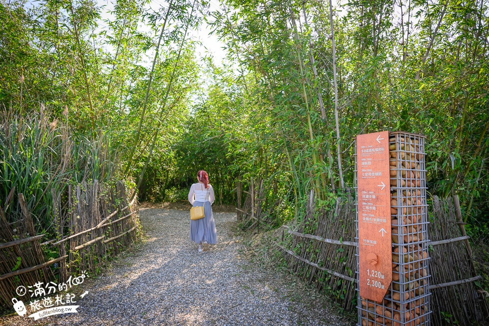 新竹桐花景點【湖口仁和桐花步道】近湖口老街,順遊祥湖步道&金獅步道.季節限定浪漫四月雪!