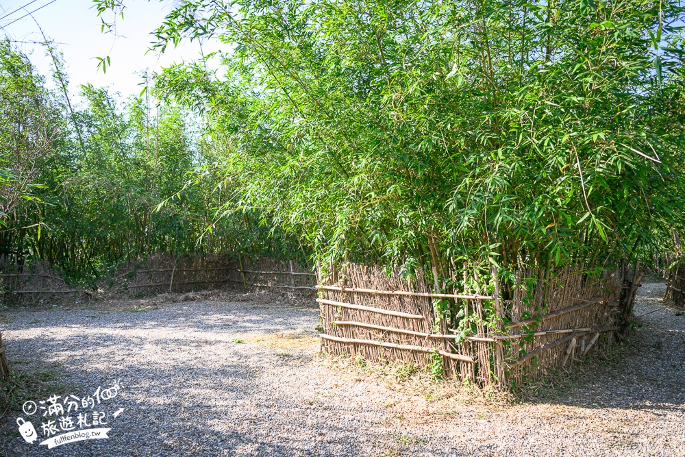 新竹桐花景點【湖口仁和桐花步道】近湖口老街,順遊祥湖步道&金獅步道.季節限定浪漫四月雪!