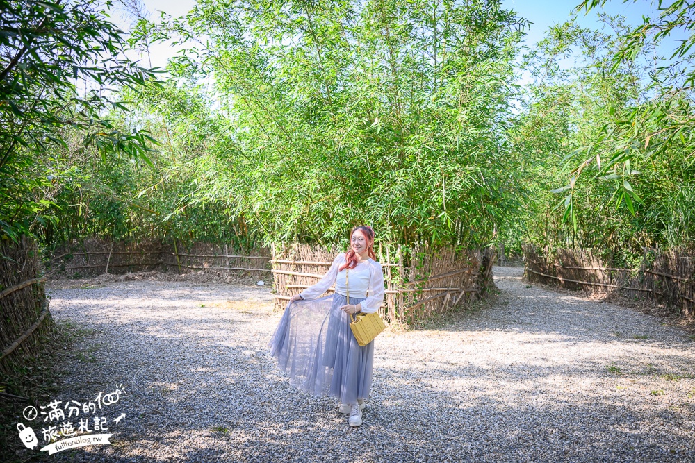 新竹桐花景點【湖口仁和桐花步道】近湖口老街,順遊祥湖步道&金獅步道.季節限定浪漫四月雪!