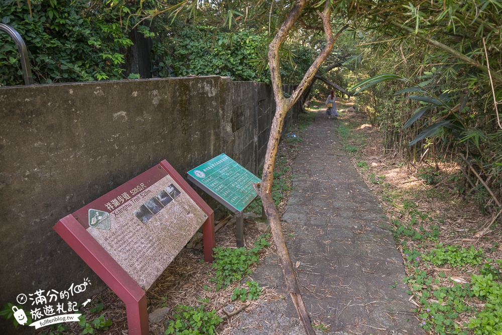 新竹桐花景點【湖口仁和桐花步道】近湖口老街,順遊祥湖步道&金獅步道.季節限定浪漫四月雪!