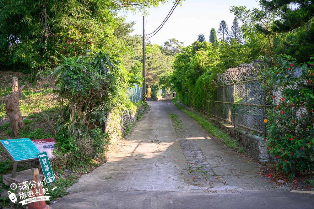 新竹桐花景點【湖口仁和桐花步道】近湖口老街,順遊祥湖步道&金獅步道.季節限定浪漫四月雪!