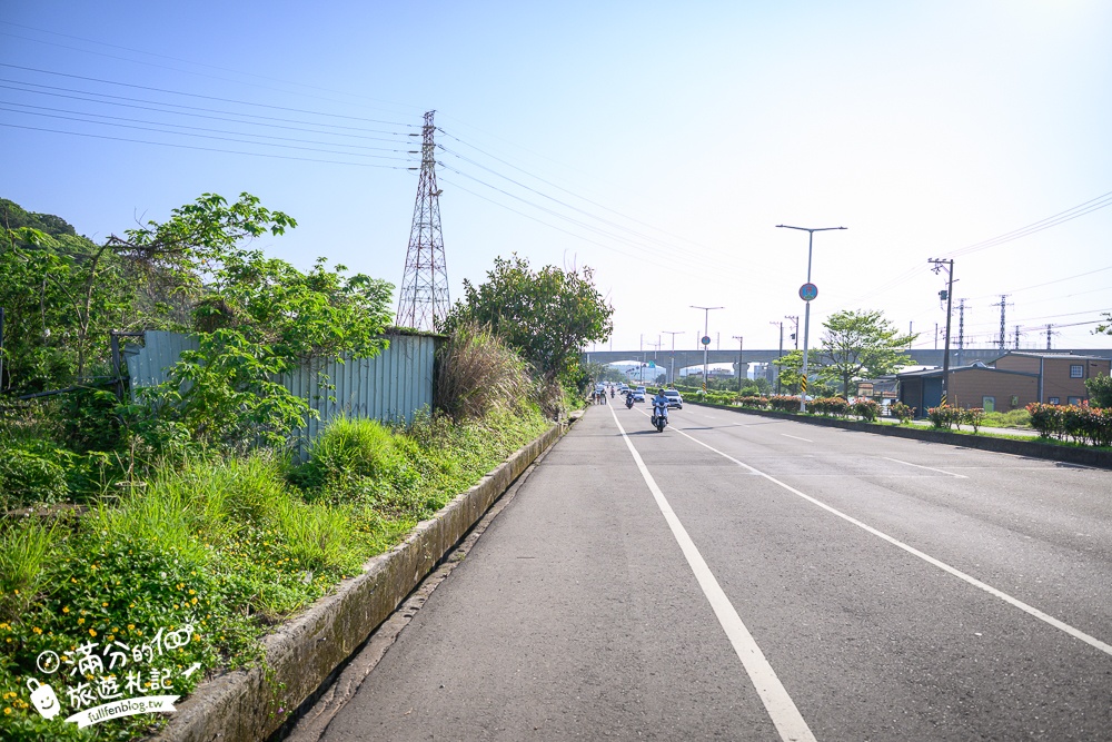 新竹桐花景點【湖口仁和桐花步道】近湖口老街,順遊祥湖步道&金獅步道.季節限定浪漫四月雪!