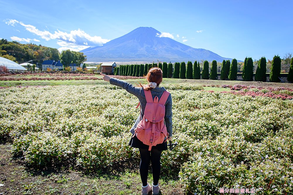 日本山中湖景點》山中湖花之都公園 花中的富士山之景 富士山四季之美 來富士山拍偶像劇