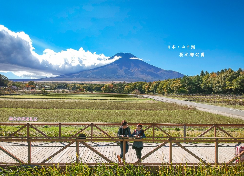日本山中湖景點》山中湖花之都公園 花中的富士山之景 富士山四季之美 來富士山拍偶像劇 @滿分的旅遊札記