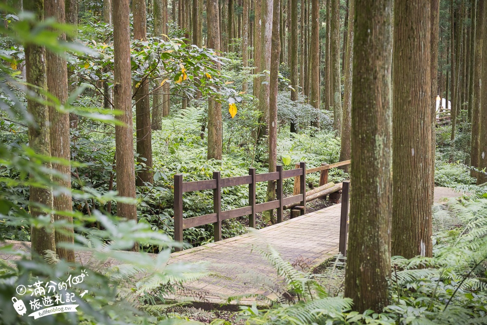 新竹【馬武督探索森林】關西鎮必玩綠光小學,忘憂的森林小學堂~走樹林.看瀑布,大自然吸收滿滿芬多精!