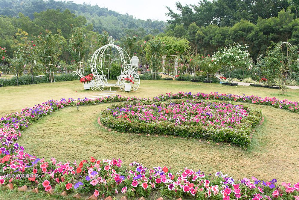 雲林古坑景點》蘿莎玫瑰莊園 免門票景點 南台灣最浪漫的雙心花園 情侶約會必訪