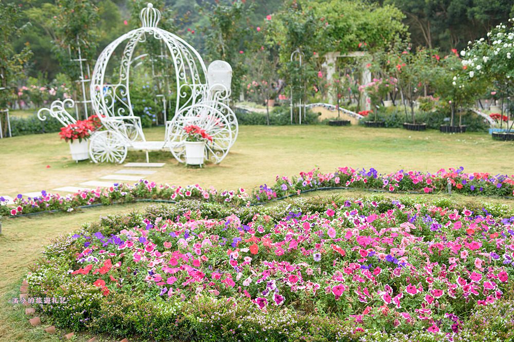 雲林古坑景點》蘿莎玫瑰莊園 免門票景點 南台灣最浪漫的雙心花園 情侶約會必訪