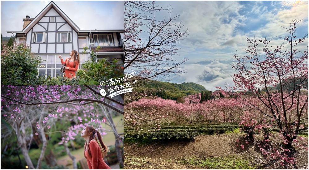 延伸閱讀:新竹五峰景點【山上人家】2026賞櫻秘境最新花況.雲海勝境.景觀餐廳.夢幻茶田.下午茶,海拔1200公尺的忘憂森林! 延伸閱讀:新竹五峰景點【山上人家】2026賞櫻秘境最新花況.雲海勝境.景觀餐廳.夢幻茶田.下午茶,海拔1200公尺的忘憂森林!