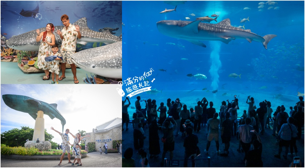 【2026沖繩美麗海水族館】最新門票資訊.交通方式.人氣海景自助餐廳.海豚秀＆餵食秀總整理,沖繩黑潮之海大水槽全攻略！ @滿分的旅遊札記