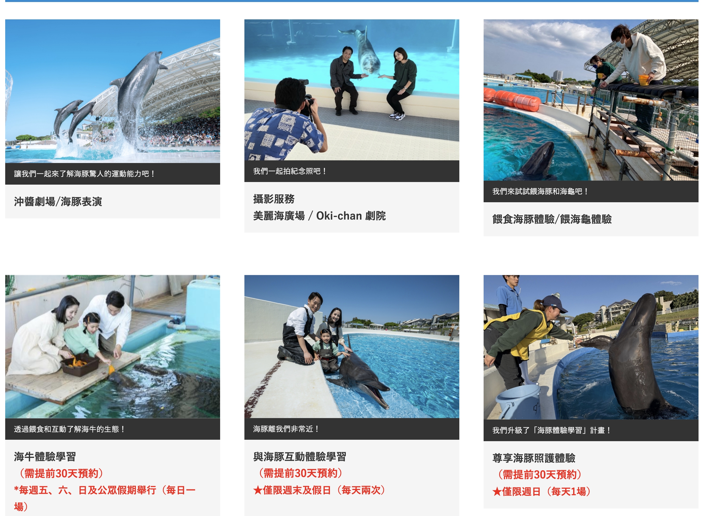 【2026沖繩美麗海水族館】最新門票資訊.交通方式.人氣海景自助餐廳.海豚秀＆餵食秀總整理,沖繩黑潮之海大水槽全攻略！