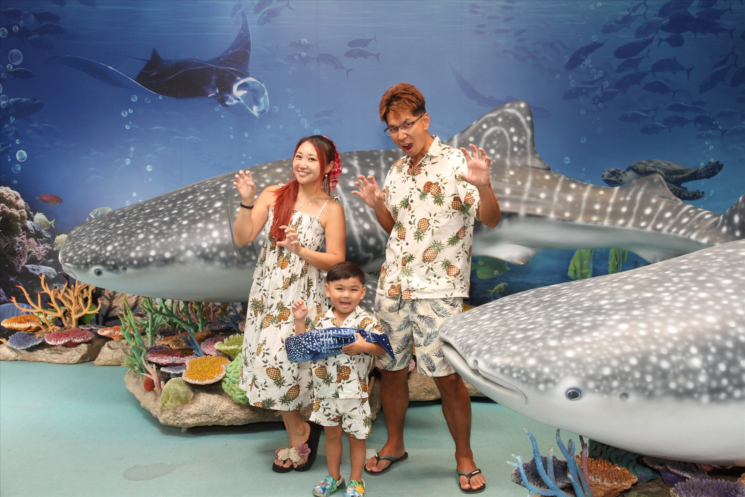 【2026沖繩美麗海水族館】最新門票資訊.交通方式.人氣海景自助餐廳.海豚秀＆餵食秀總整理,沖繩黑潮之海大水槽全攻略！