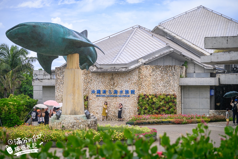 【2026沖繩美麗海水族館】最新門票資訊.交通方式.人氣海景自助餐廳.海豚秀＆餵食秀總整理,沖繩黑潮之海大水槽全攻略！