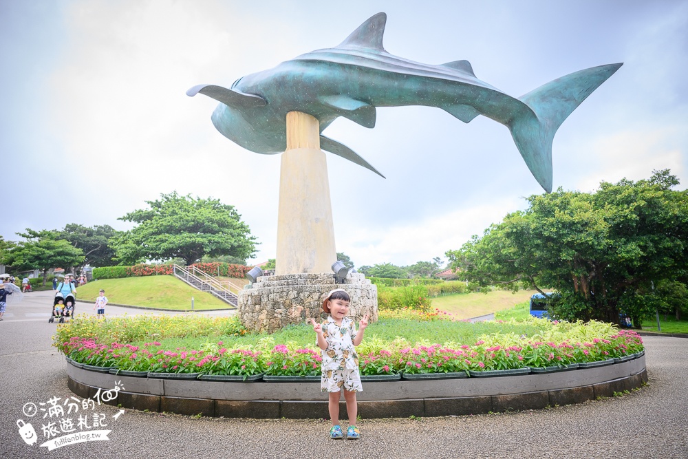 【2026沖繩美麗海水族館】最新門票資訊.交通方式.人氣海景自助餐廳.海豚秀＆餵食秀總整理,沖繩黑潮之海大水槽全攻略！