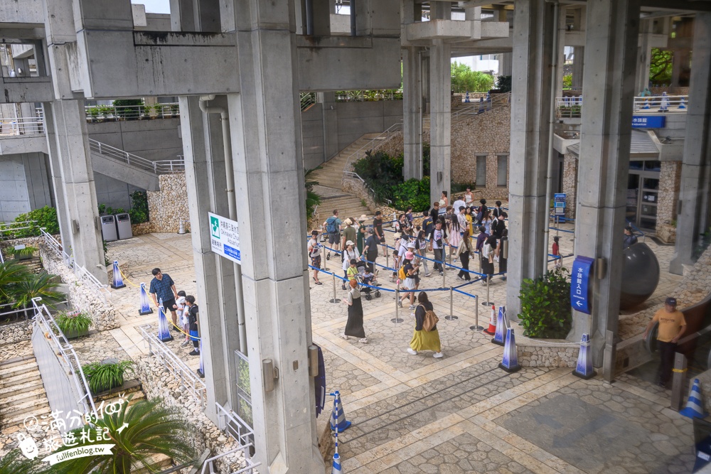 【2026沖繩美麗海水族館】最新門票資訊.交通方式.人氣海景自助餐廳.海豚秀＆餵食秀總整理,沖繩黑潮之海大水槽全攻略！