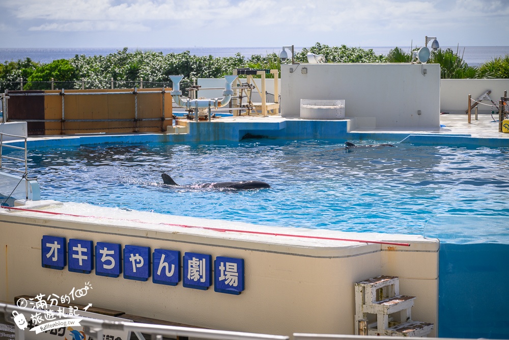 【2026沖繩美麗海水族館】最新門票資訊.交通方式.人氣海景自助餐廳.海豚秀＆餵食秀總整理,沖繩黑潮之海大水槽全攻略！