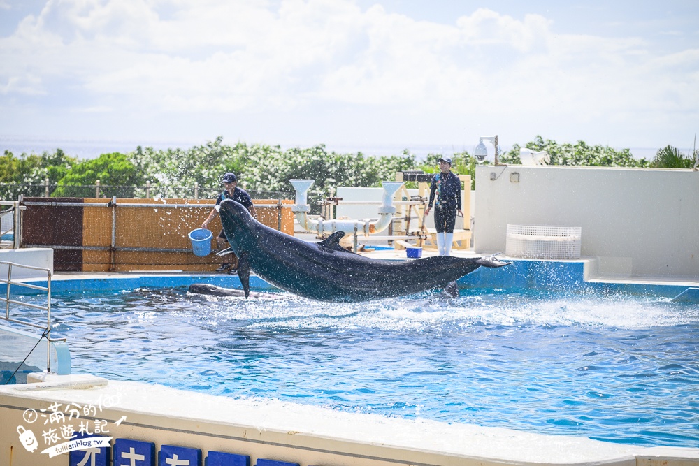 【2026沖繩美麗海水族館】最新門票資訊.交通方式.人氣海景自助餐廳.海豚秀＆餵食秀總整理,沖繩黑潮之海大水槽全攻略！
