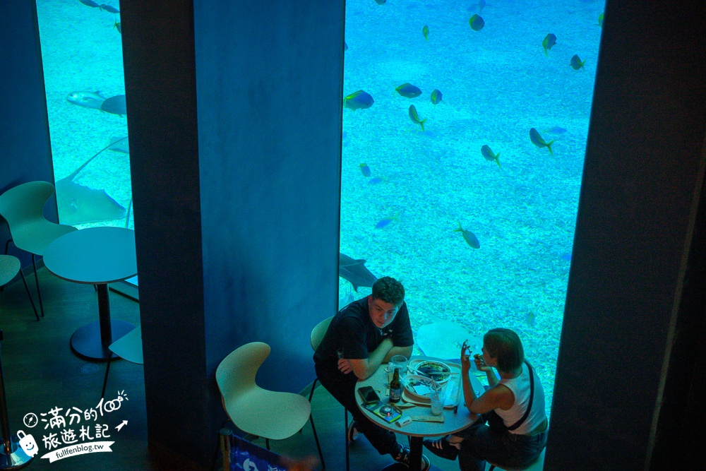 【2026沖繩美麗海水族館】最新門票資訊.交通方式.人氣海景自助餐廳.海豚秀＆餵食秀總整理,沖繩黑潮之海大水槽全攻略！