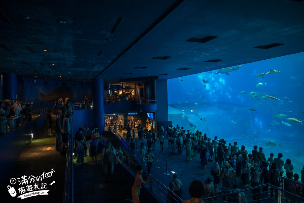 【2026沖繩美麗海水族館】最新門票資訊.交通方式.人氣海景自助餐廳.海豚秀＆餵食秀總整理,沖繩黑潮之海大水槽全攻略！