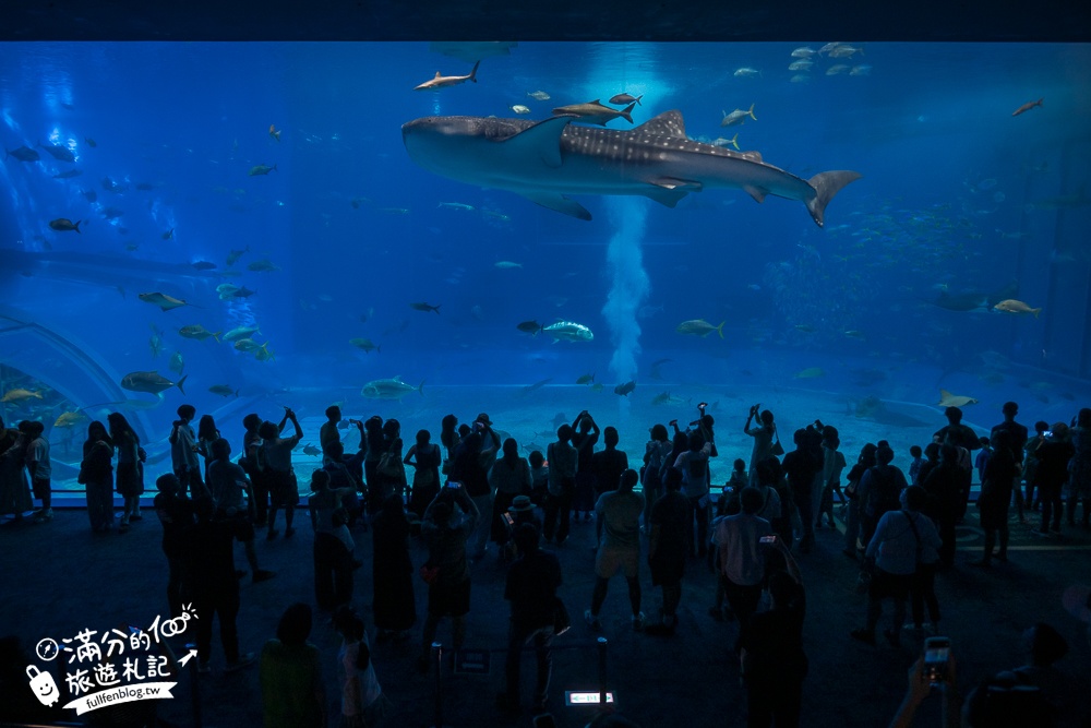 【2026沖繩美麗海水族館】最新門票資訊.交通方式.人氣海景自助餐廳.海豚秀＆餵食秀總整理,沖繩黑潮之海大水槽全攻略！