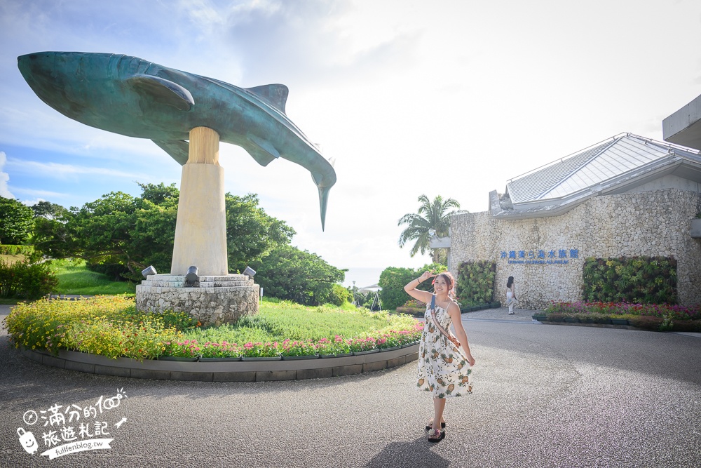 【2026沖繩美麗海水族館】最新門票資訊.交通方式.人氣海景自助餐廳.海豚秀＆餵食秀總整理,沖繩黑潮之海大水槽全攻略！