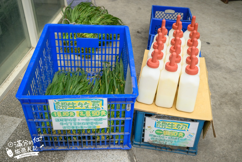 彰化【大山牧場】花壇免門票親子景點,必吃牛奶鍋&鮮奶麻糬,體驗餵牛喝奶.擠牛奶趣味十足!