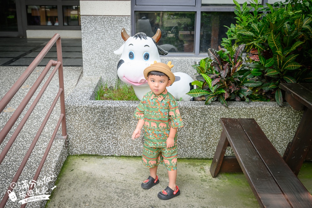 彰化【大山牧場】花壇免門票親子景點,必吃牛奶鍋&鮮奶麻糬,體驗餵牛喝奶.擠牛奶趣味十足!