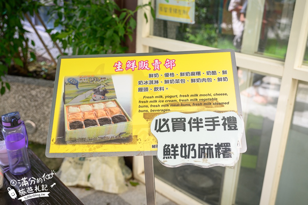 彰化【大山牧場】花壇免門票親子景點,必吃牛奶鍋&鮮奶麻糬,體驗餵牛喝奶.擠牛奶趣味十足!