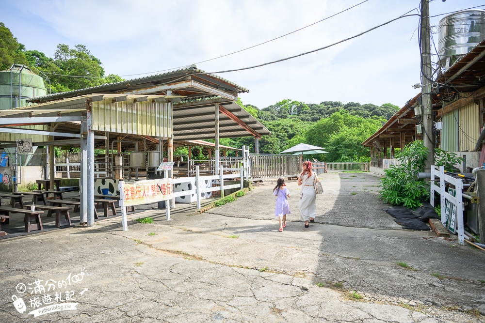 彰化【大山牧場】花壇免門票親子景點,必吃牛奶鍋&鮮奶麻糬,體驗餵牛喝奶.擠牛奶趣味十足!