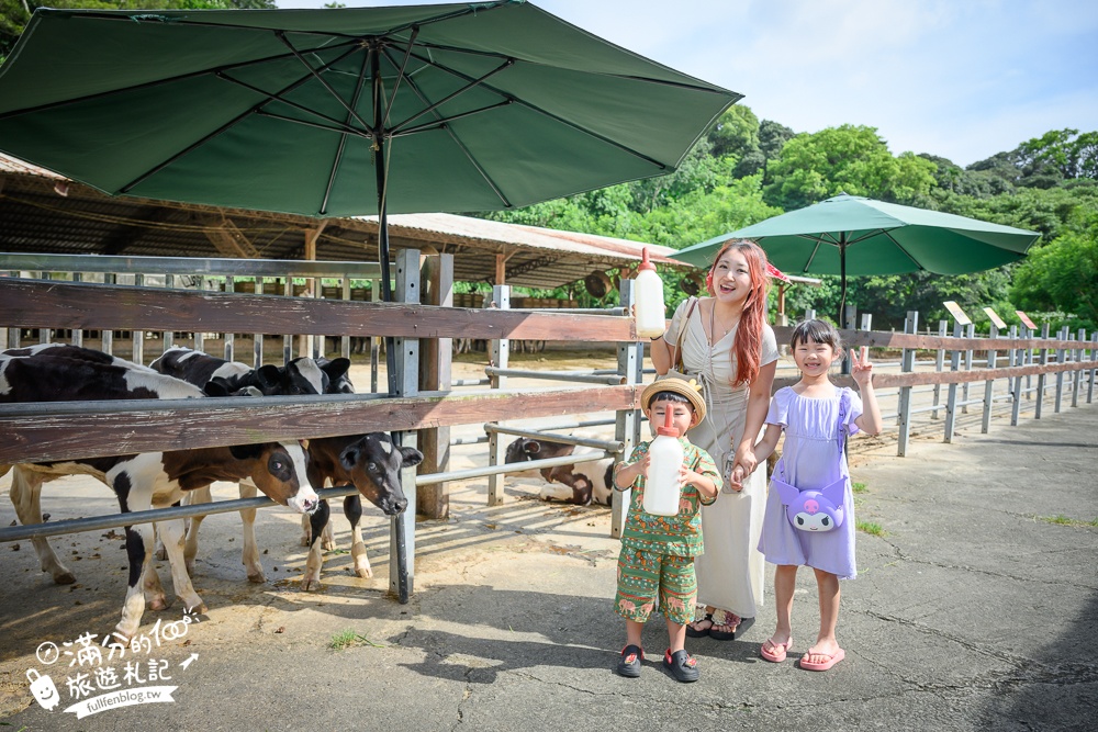 彰化【大山牧場】花壇免門票親子景點,必吃牛奶鍋&鮮奶麻糬,體驗餵牛喝奶.擠牛奶趣味十足!