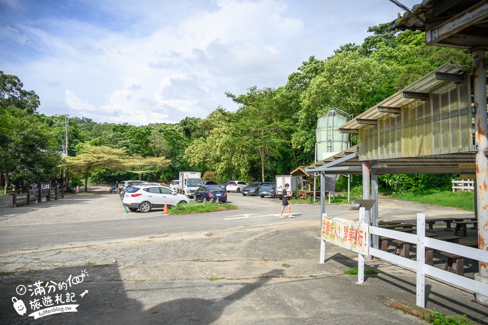 彰化【大山牧場】花壇免門票親子景點,必吃牛奶鍋&鮮奶麻糬,體驗餵牛喝奶.擠牛奶趣味十足!