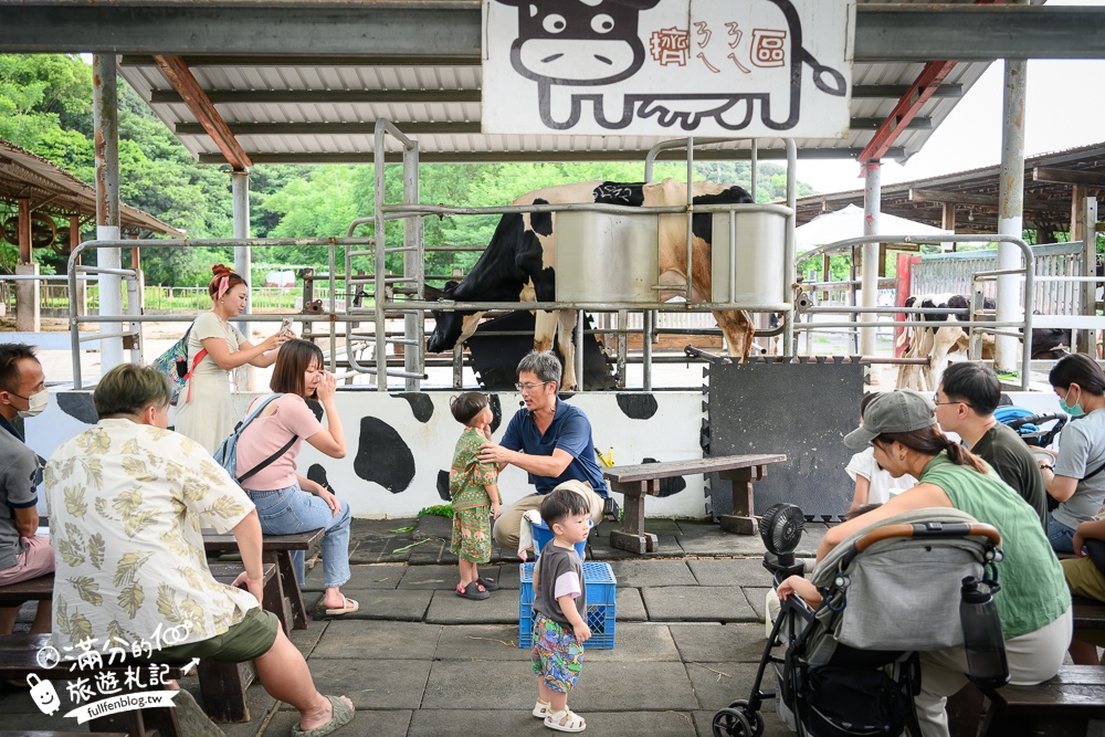 彰化【大山牧場】花壇免門票親子景點,必吃牛奶鍋&鮮奶麻糬,體驗餵牛喝奶.擠牛奶趣味十足!