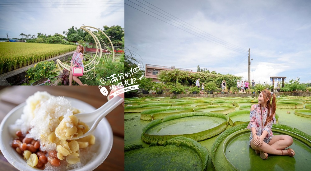 桃園觀音景點【康莊蓮園】【林家古厝休閒農場】大王蓮體驗.品嚐蓮子剉冰.走訪百年建築~坐在月亮上賞蓮! @滿分的旅遊札記