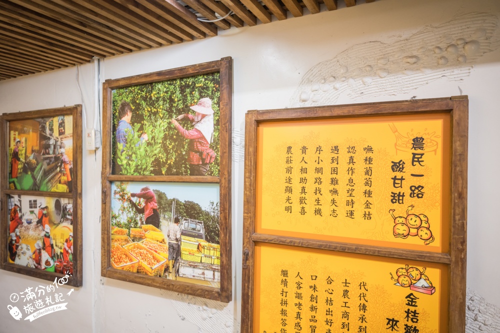 嘉義【金桔觀光工廠】民雄免門票親子景點！金桔DIY、樹屋溜滑梯、挑戰超桔迷宮～童趣十足的果園主題園區!