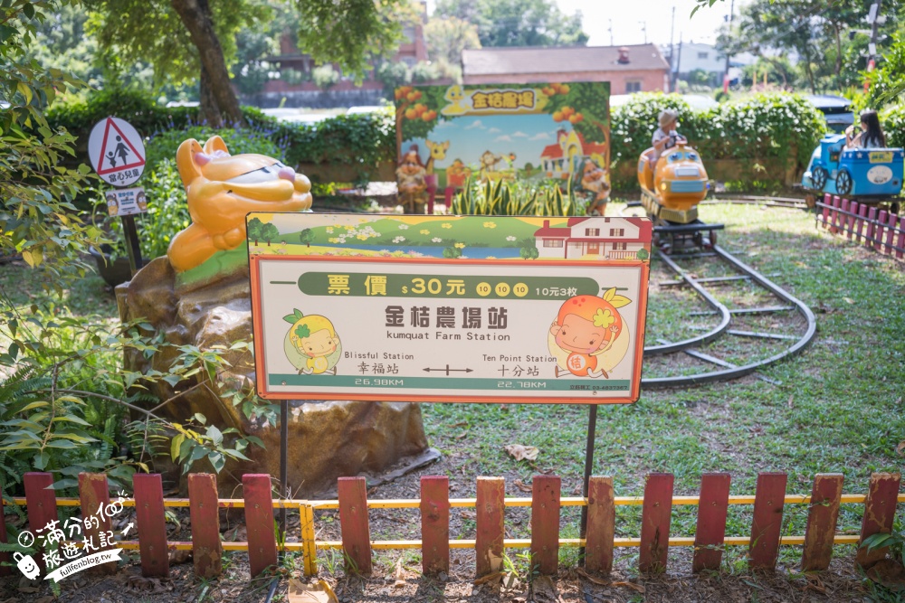 嘉義【金桔觀光工廠】民雄免門票親子景點！金桔DIY、樹屋溜滑梯、挑戰超桔迷宮～童趣十足的果園主題園區!