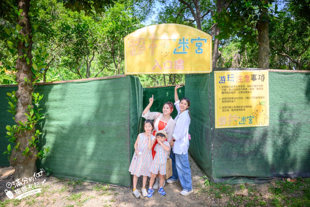 嘉義【金桔觀光工廠】民雄免門票親子景點！金桔DIY、樹屋溜滑梯、挑戰超桔迷宮～童趣十足的果園主題園區!