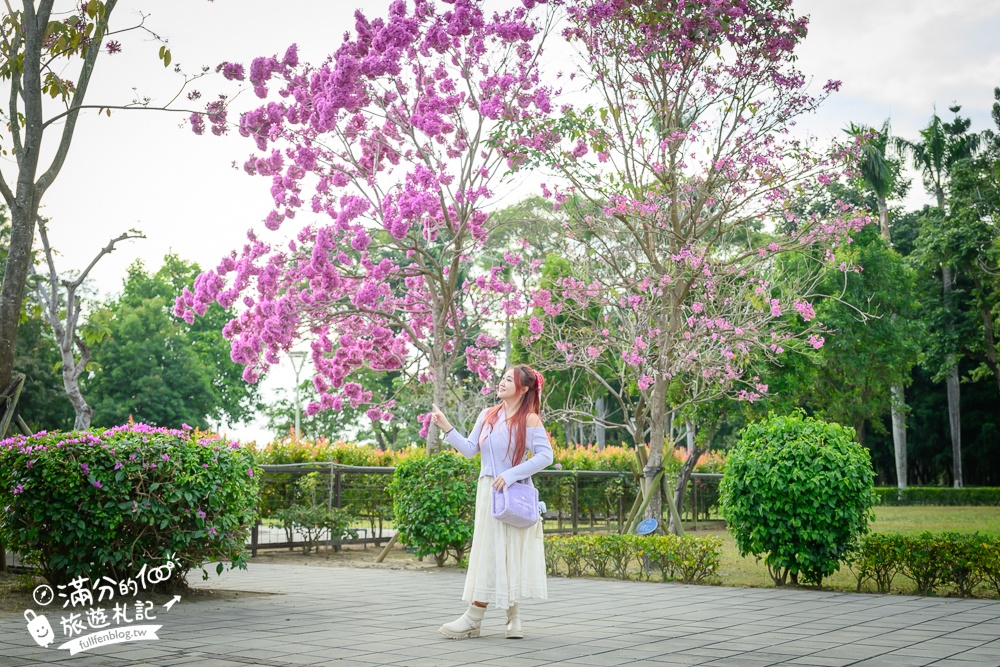 台南景點【台南山上花園水道博物館】淨水池區玩樂攻略,搭小火車遊逛日式建築~探索水道漫遊古堡之美！