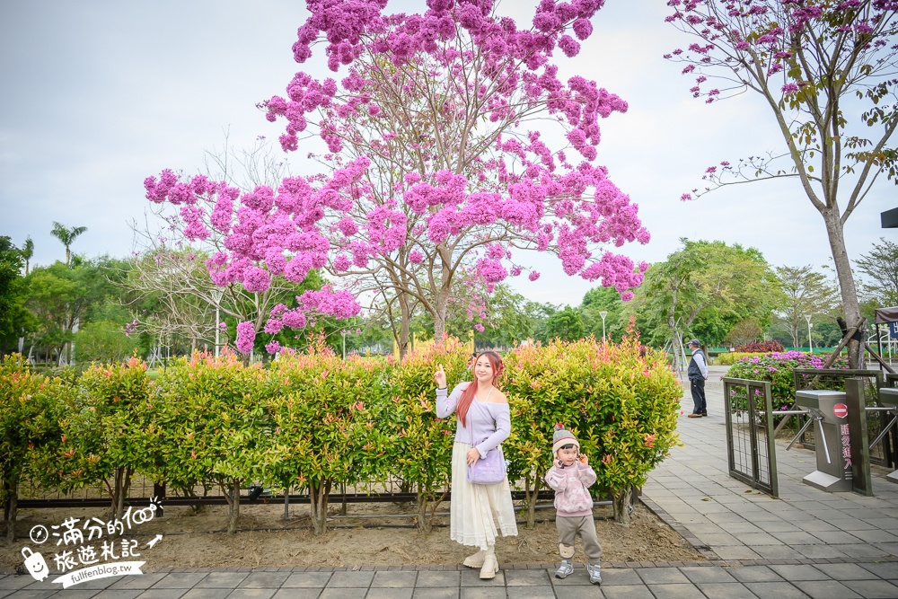 台南景點【台南山上花園水道博物館】淨水池區玩樂攻略,搭小火車遊逛日式建築~探索水道漫遊古堡之美！